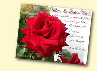 Tarjeta de Saludo para una boda con un deseos, una rosa y anillos de bodas.