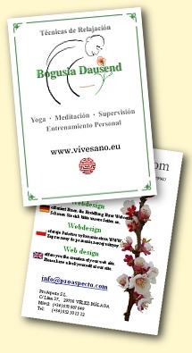 Folleto con informaci�n corto sobre los srvicios, logotipo, direcci�n de ProAspecto de dise�o de p�ginas web.