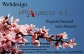 (c) 2005 ProAspecto S.L. Visitenkarte  by Bogumila Dausend | "Mandelbl�ten"