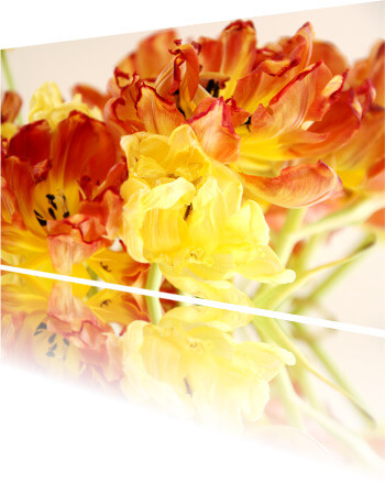 Produkt Foto von Blumen